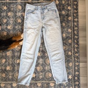 American Eagle Outfitters Light Blue Straight Ankle Jeans | Women’s 6